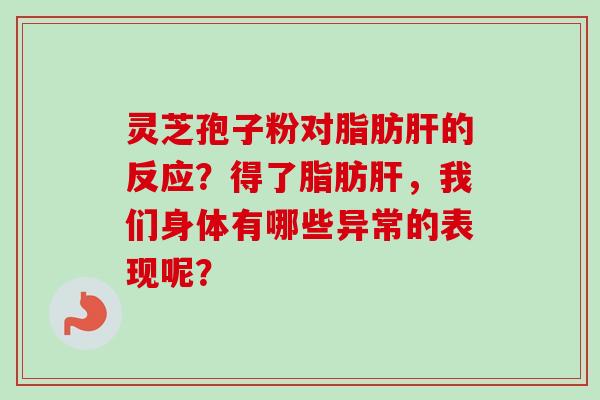 灵芝孢子粉对脂肪肝的反应？得了脂肪肝，我们身体有哪些异常的表现呢？
