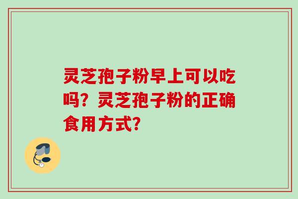灵芝孢子粉早上可以吃吗?灵芝孢子粉的正确食用方式?