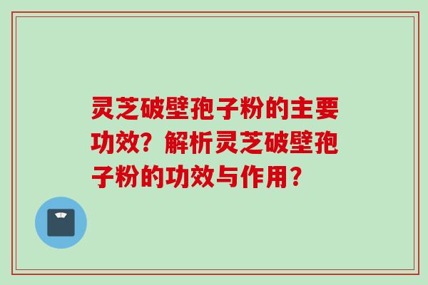 灵芝破壁孢子粉的主要功效？解析灵芝破壁孢子粉的功效与作用？