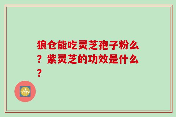 狼仓能吃灵芝孢子粉么?紫灵芝的功效是什么?