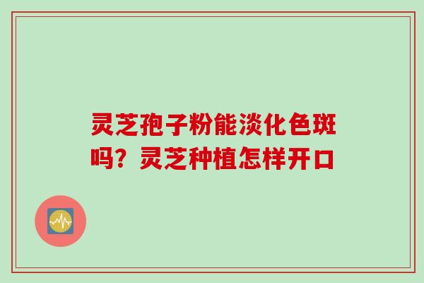 灵芝孢子粉能淡化色斑吗？灵芝种植怎样开口