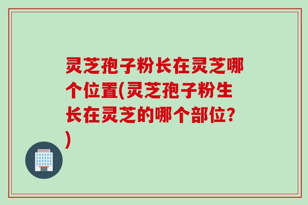 灵芝孢子粉长在灵芝哪个位置(灵芝孢子粉生长在灵芝的哪个部位？)