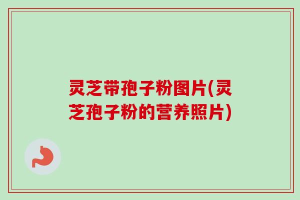灵芝带孢子粉图片(灵芝孢子粉的营养照片)