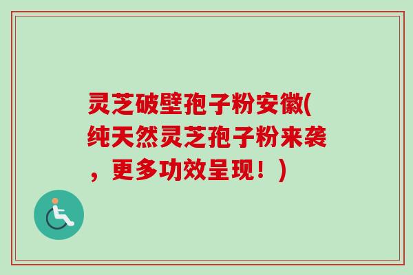灵芝破壁孢子粉安徽(纯天然灵芝孢子粉来袭，更多功效呈现！)