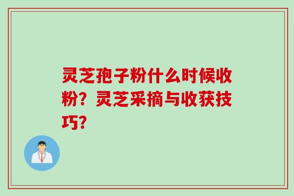 灵芝孢子粉什么时候收粉?灵芝采摘与收获技巧?