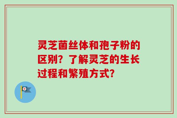 灵芝菌丝体和孢子粉的区别？了解灵芝的生长过程和繁殖方式？