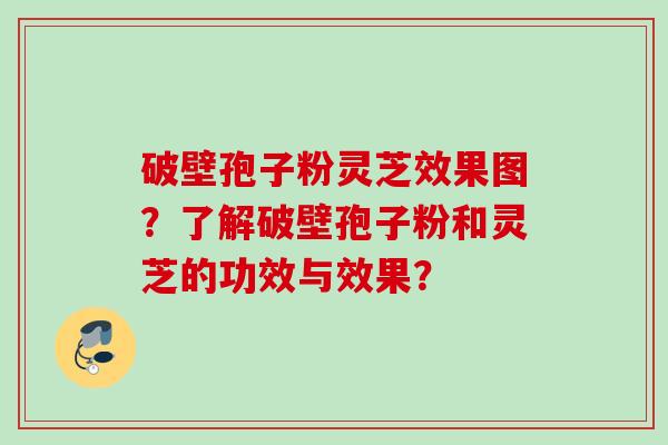 破壁孢子粉灵芝效果图？了解破壁孢子粉和灵芝的功效与效果？