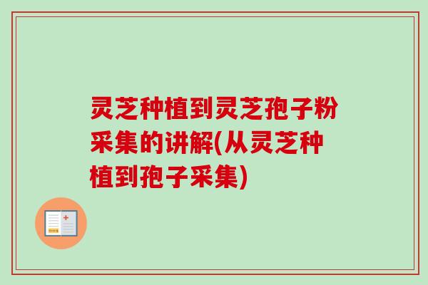 灵芝种植到灵芝孢子粉采集的讲解(从灵芝种植到孢子采集)