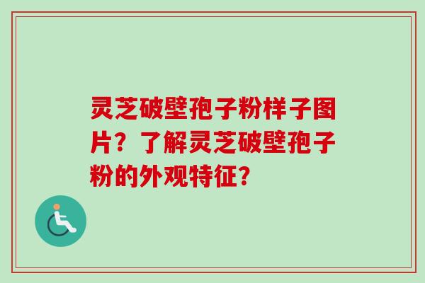 灵芝破壁孢子粉样子图片？了解灵芝破壁孢子粉的外观特征？
