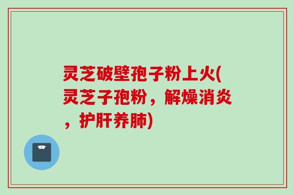 灵芝破壁孢子粉上火(灵芝子孢粉，解燥消炎，护肝养肺)