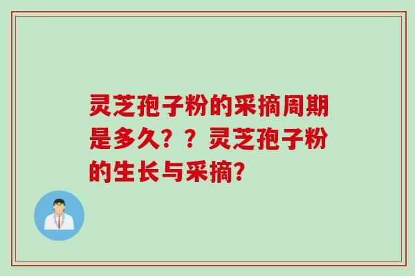 灵芝孢子粉的采摘周期是多久？？灵芝孢子粉的生长与采摘？