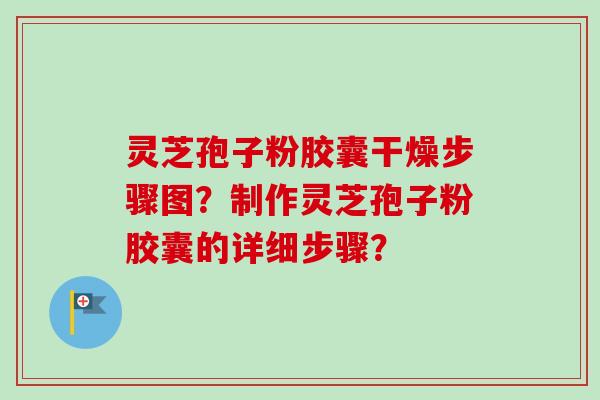 灵芝孢子粉胶囊干燥步骤图？制作灵芝孢子粉胶囊的详细步骤？