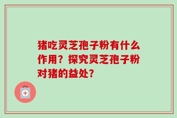 猪吃灵芝孢子粉有什么作用?探究灵芝孢子粉对猪的益处?