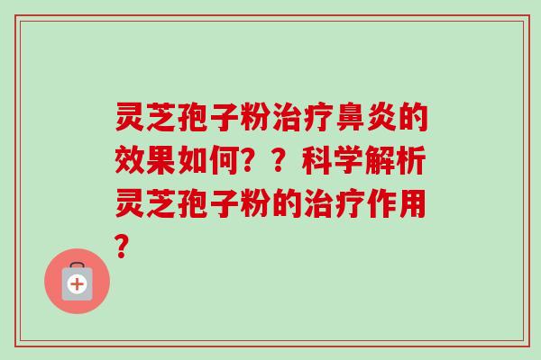 灵芝孢子粉治疗鼻炎的效果如何??科学解析灵芝孢子粉的治疗作用?