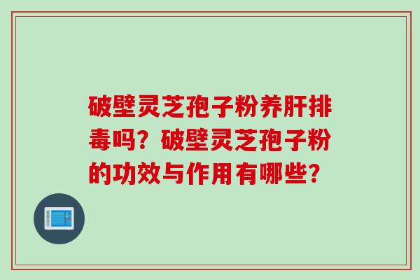 破壁灵芝孢子粉养肝排毒吗?破壁灵芝孢子粉的功效与作用有哪些?