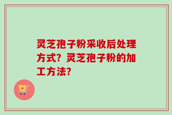 灵芝孢子粉采收后处理方式？灵芝孢子粉的加工方法？