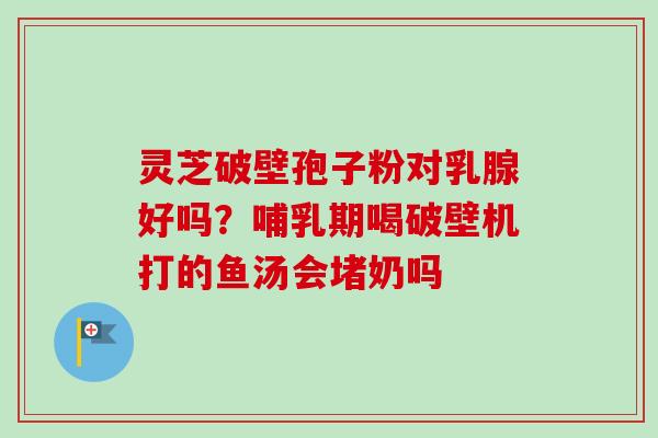 灵芝破壁孢子粉对乳腺好吗?哺乳期喝破壁机打的鱼汤会堵奶吗