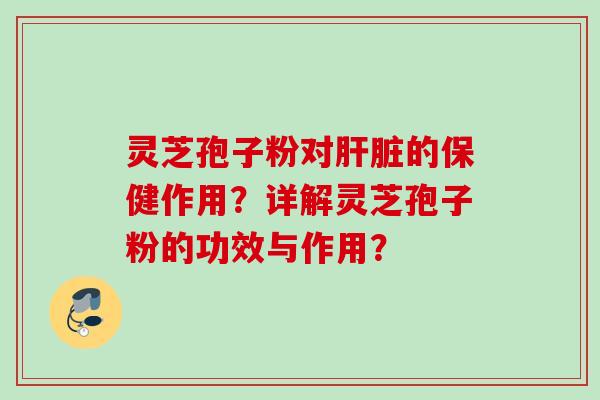 灵芝孢子粉对肝脏的保健作用？详解灵芝孢子粉的功效与作用？