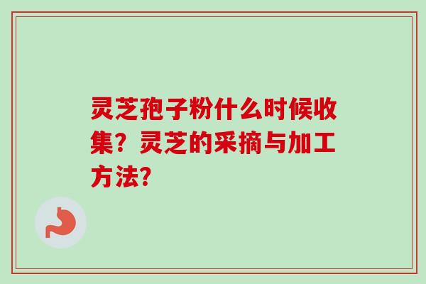 灵芝孢子粉什么时候收集?灵芝的采摘与加工方法?
