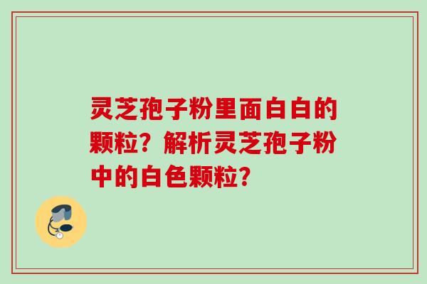 灵芝孢子粉里面白白的颗粒?解析灵芝孢子粉中的白色颗粒?