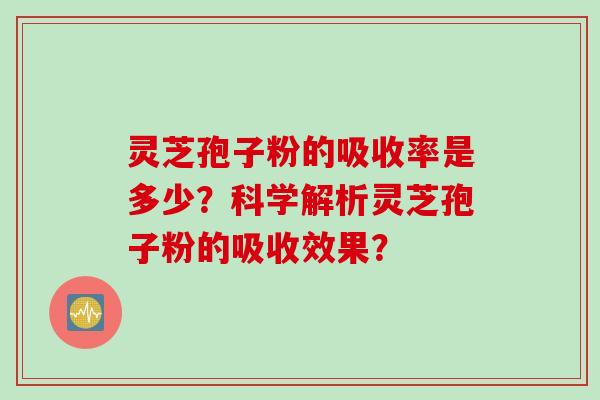 灵芝孢子粉的吸收率是多少？科学解析灵芝孢子粉的吸收效果？
