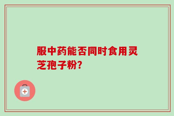 服中药能否同时食用灵芝孢子粉？
