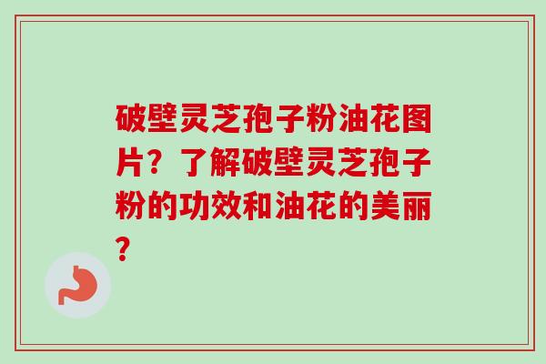 破壁灵芝孢子粉油花图片?了解破壁灵芝孢子粉的功效和油花的美丽?