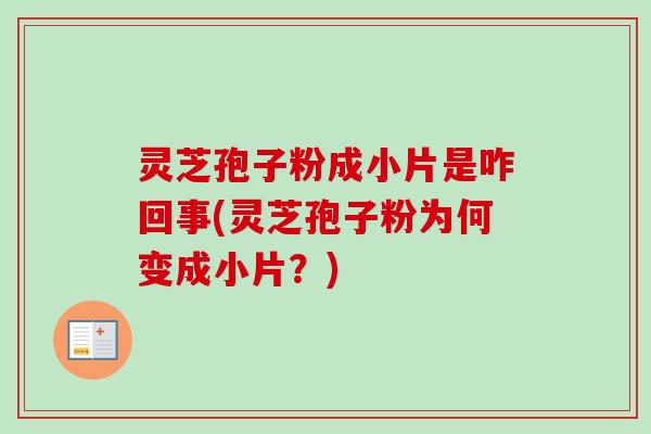 灵芝孢子粉成小片是咋回事(灵芝孢子粉为何变成小片？)