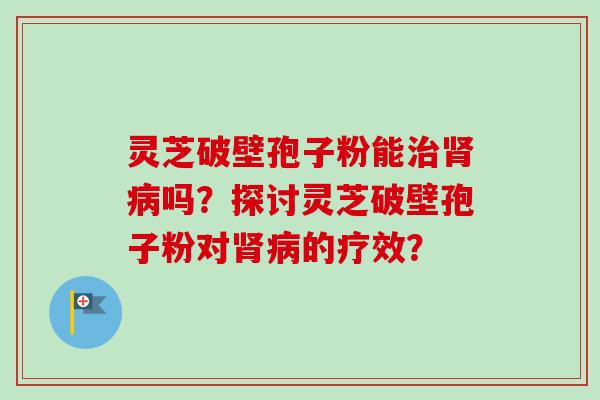 灵芝破壁孢子粉能治肾病吗?探讨灵芝破壁孢子粉对肾病的疗效?