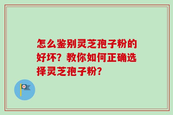 怎么鉴别灵芝孢子粉的好坏?教你如何正确选择灵芝孢子粉?