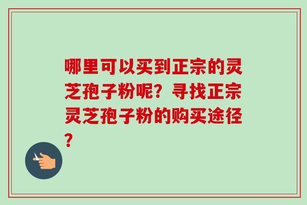 哪里可以买到正宗的灵芝孢子粉呢？寻找正宗灵芝孢子粉的购买途径？