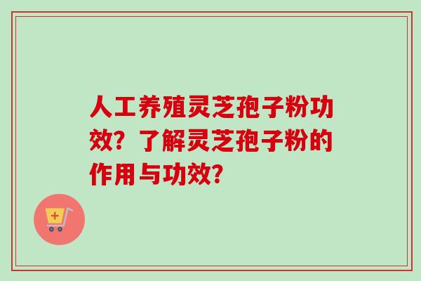 人工养殖灵芝孢子粉功效?了解灵芝孢子粉的作用与功效?