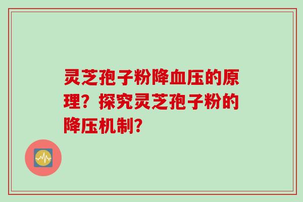 灵芝孢子粉降血压的原理?探究灵芝孢子粉的降压机制?