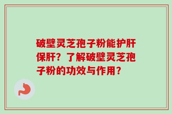 破壁灵芝孢子粉能护肝保肝？了解破壁灵芝孢子粉的功效与作用？