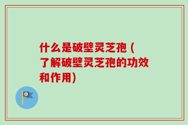 什么是破壁灵芝孢 (了解破壁灵芝孢的功效和作用)