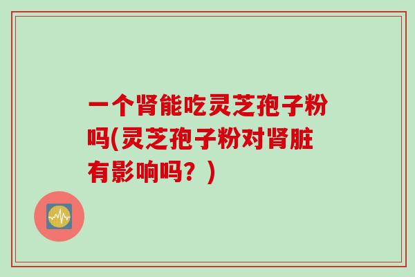一个肾能吃灵芝孢子粉吗(灵芝孢子粉对肾脏有影响吗？)