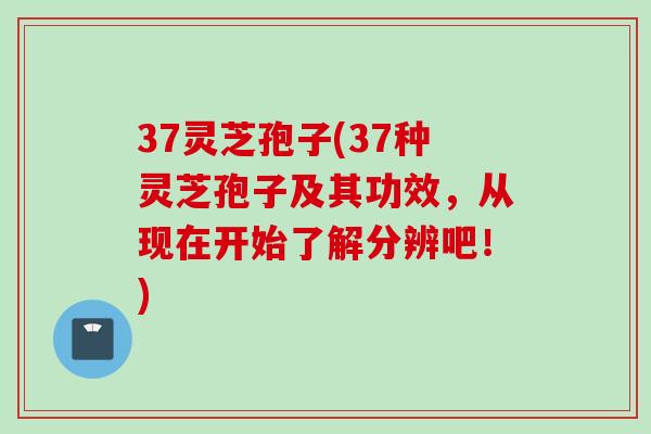 37灵芝孢子(37种灵芝孢子及其功效，从现在开始了解分辨吧！)