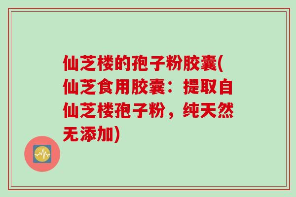 仙芝楼的孢子粉胶囊(仙芝食用胶囊:提取自仙芝楼孢子粉,纯天然无添加)