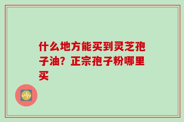 什么地方能买到灵芝孢子油？正宗孢子粉哪里买