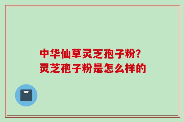 中华仙草灵芝孢子粉？灵芝孢子粉是怎么样的