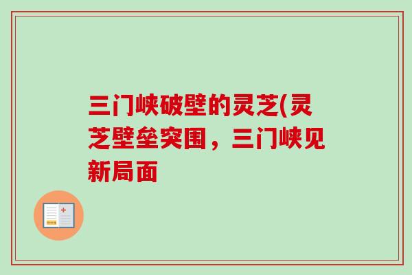 三门峡破壁的灵芝(灵芝壁垒突围,三门峡见新局面