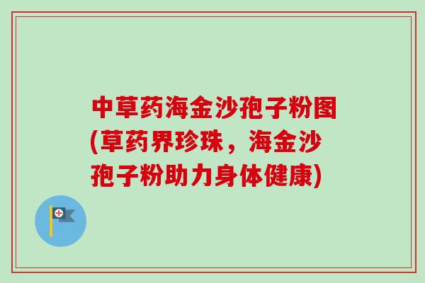 中草药海金沙孢子粉图(草药界珍珠,海金沙孢子粉助力身体健康) 中草药海金沙孢子粉图(草药界珍珠,海金沙孢子粉助力身体健康)