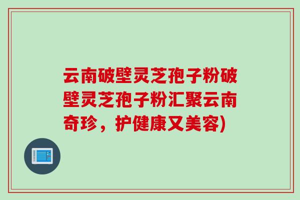 云南破壁灵芝孢子粉破壁灵芝孢子粉汇聚云南奇珍,护健康又美容)