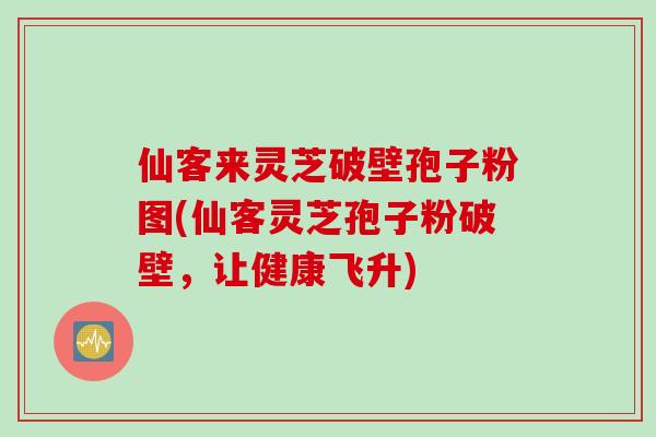 仙客来灵芝破壁孢子粉图(仙客灵芝孢子粉破壁,让健康飞升)