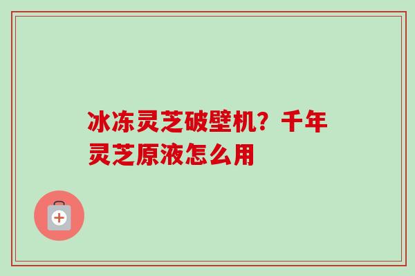 冰冻灵芝破壁机?千年灵芝原液怎么用