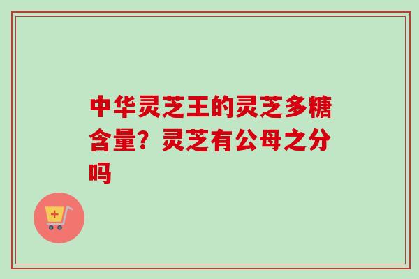 中华灵芝王的灵芝多糖含量？灵芝有公母之分吗