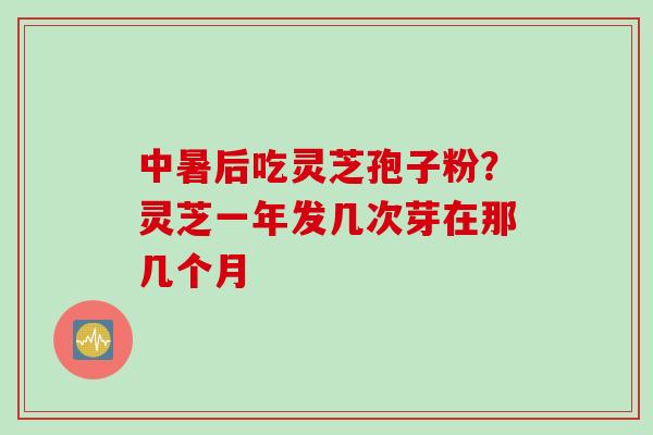 中暑后吃灵芝孢子粉?灵芝一年发几次芽在那几个月