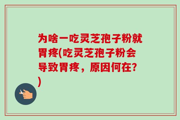 为啥一吃灵芝孢子粉就胃疼(吃灵芝孢子粉会导致胃疼，原因何在？)
