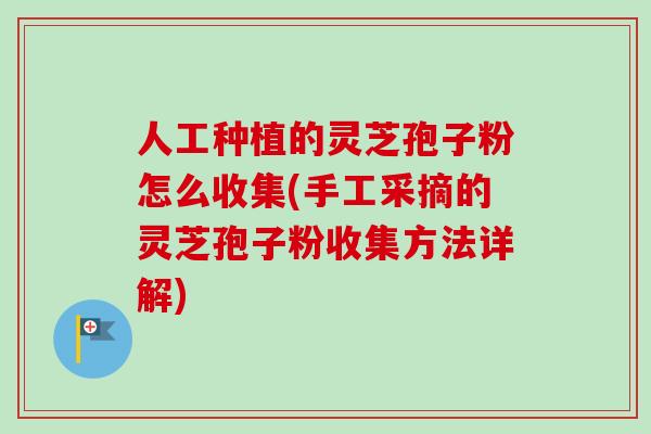 人工种植的灵芝孢子粉怎么收集(手工采摘的灵芝孢子粉收集方法详解)