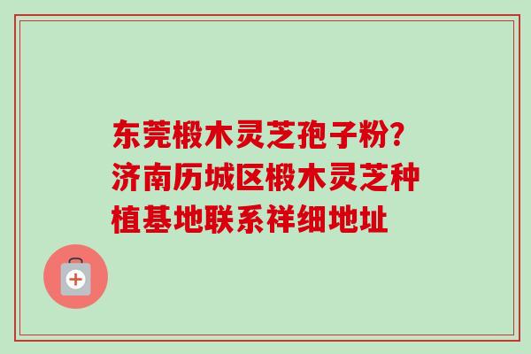 东莞椴木灵芝孢子粉?济南历城区椴木灵芝种植基地联系祥细地址